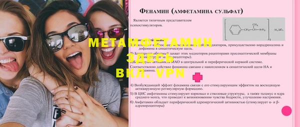 индика Нязепетровск