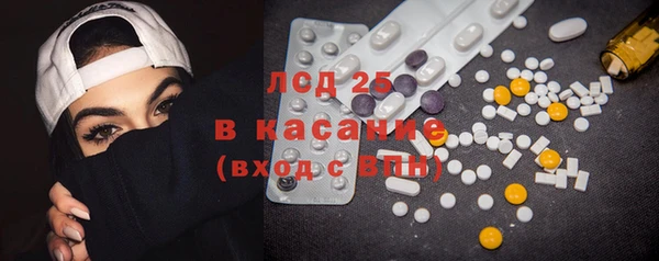 индика Нязепетровск