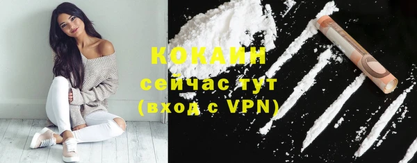 индика Нязепетровск
