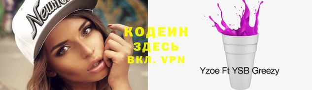 ПСИЛОЦИБИНОВЫЕ ГРИБЫ Няндома