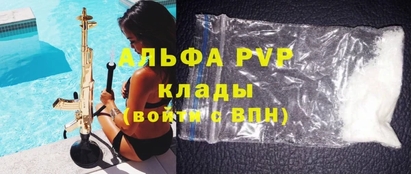 индика Нязепетровск