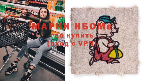 индика Нязепетровск
