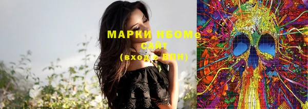 индика Нязепетровск