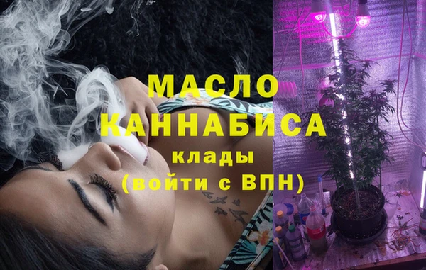 индика Нязепетровск