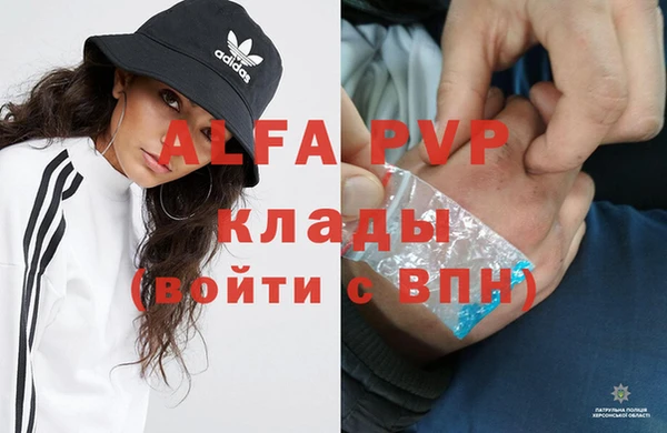 ПСИЛОЦИБИНОВЫЕ ГРИБЫ Няндома