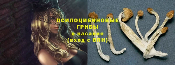 ПСИЛОЦИБИНОВЫЕ ГРИБЫ Няндома
