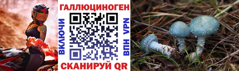 Псилоцибиновые грибы Magic Shrooms  блэк спрут tor  Лакинск 