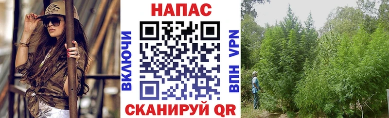 наркота Лакинск Марихуана Ganja